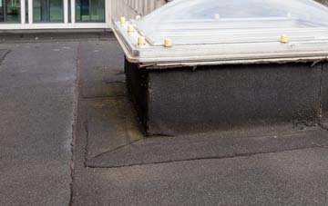 disadvantages of Acton Reynald flat roofs