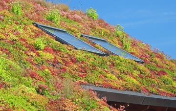 Acton Reynald living roof systems